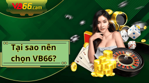 Tại sao nên chọn VB66?